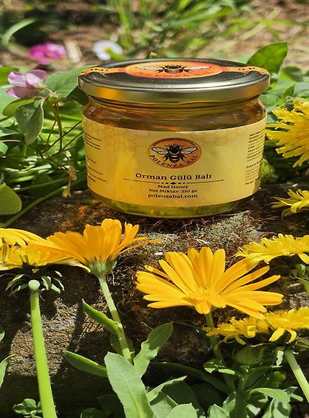 Artvin Komar Balı 250 gr | Orman Gülü (Komar) Balı
