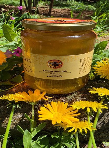 Orman Gülü Balı 1 kg | Murgul Vadilerinden Katkısız Doğal Bal