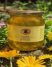 Artvin Borçka Yayla Çiçek Balı 500 gr | Doğal ve Katkısız | Yeni Sezon