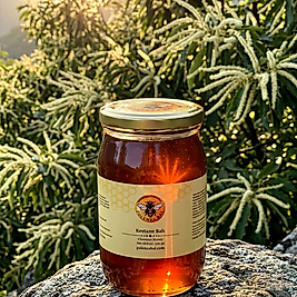 Artvin Borçka Hakiki Kestane Balı 500 gr | Doğal ve Katkısız