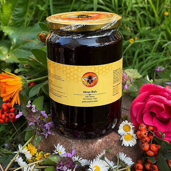 Istranca Meşe Balı 1 Kg Doğal ve Katkısız Yoğun Aromalı