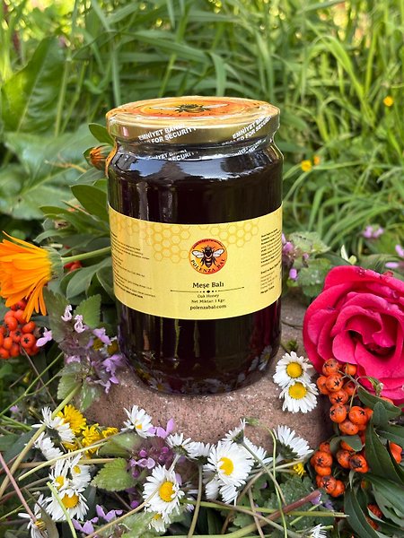 Istranca Meşe Balı 1 Kg Doğal ve Katkısız Yoğun Aromalı