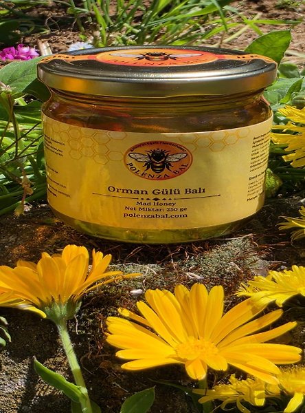 Artvin Komar Balı 250 gr | Orman Gülü (Komar) Balı