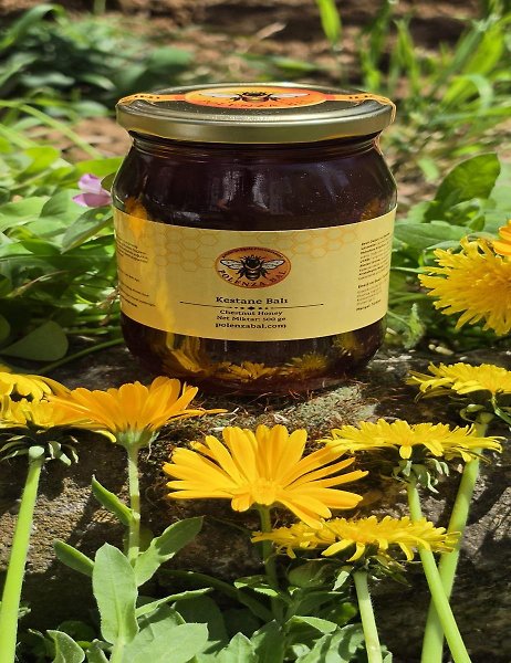 Artvin Borçka Hakiki Kestane Balı 500 gr | Doğal ve Katkısız