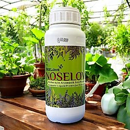 Noselove Aromatik Sıvı Premiks 500 Ml