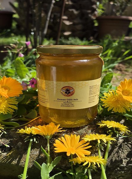 Orman Gülü Balı 1 kg | Murgul Vadilerinden Katkısız Doğal Bal
