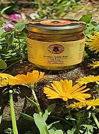 Artvin Komar Balı 250 gr | Orman Gülü (Komar) Balı