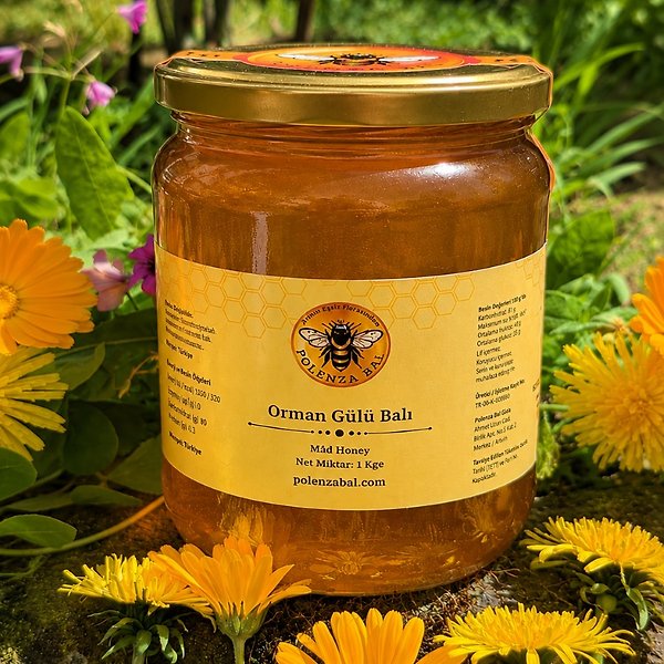 Orman Gülü Balı 1 kg | Murgul Vadilerinden Katkısız Doğal Bal