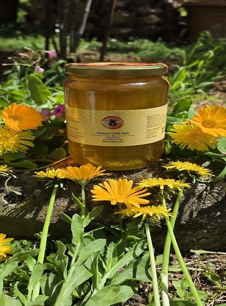 Orman Gülü Balı 1 kg | Murgul Vadilerinden Katkısız Doğal Bal