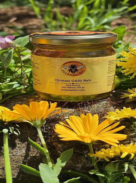 Artvin Komar Balı 250 gr | Orman Gülü (Komar) Balı