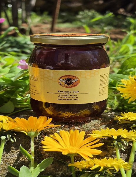 Artvin Borçka Hakiki Kestane Balı 500 gr | Doğal ve Katkısız