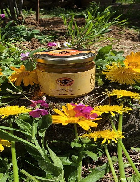 Artvin Borçka Yayla Çiçek Balı 250 gr | Doğal ve Katkısız | Yeni Sezon