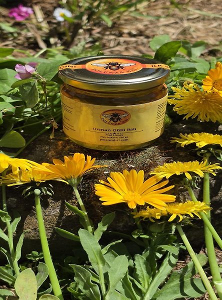 Artvin Komar Balı 250 gr | Orman Gülü (Komar) Balı