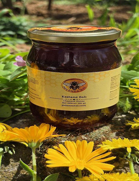 Artvin Borçka Hakiki Kestane Balı 500 gr | Doğal ve Katkısız