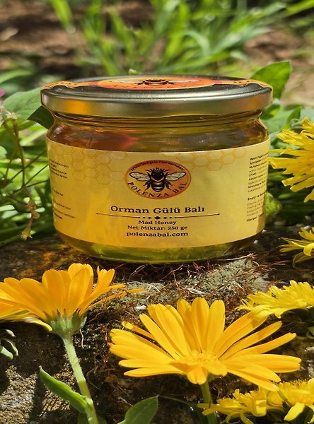 Artvin Komar Balı 250 gr | Orman Gülü (Komar) Balı
