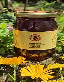Artvin Borçka Hakiki Kestane Balı 500 gr | Doğal ve Katkısız