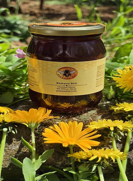 Artvin Borçka Hakiki Kestane Balı 500 gr | Doğal ve Katkısız