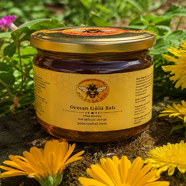 Artvin Komar Balı 250 gr | Orman Gülü (Komar) Balı