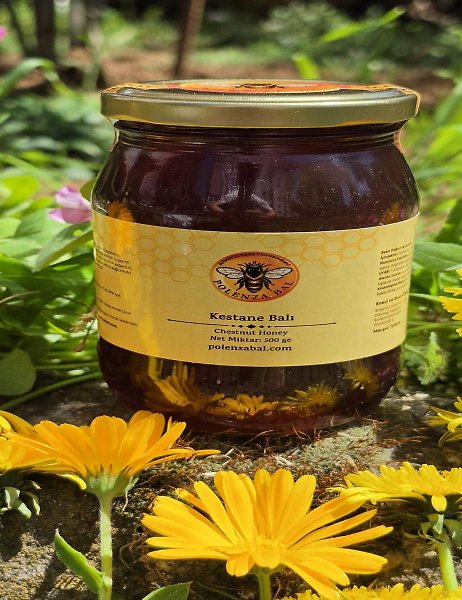 Artvin Borçka Hakiki Kestane Balı 500 gr | Doğal ve Katkısız