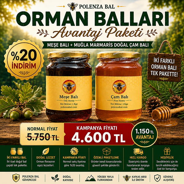 Orman Balları Paketi | Meşe Balı + Çam Balı Özel Paket (Avantajlı Fiyat)