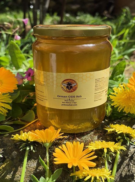 Orman Gülü Balı 1 kg | Murgul Vadilerinden Katkısız Doğal Bal