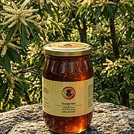 Artvin Kestane Balı 500g | Doğadan Bal – Analizli ve Yöresel