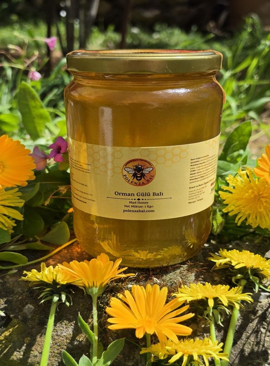 Orman Gülü Balı 1 kg | Murgul Vadilerinden Katkısız Doğal Bal